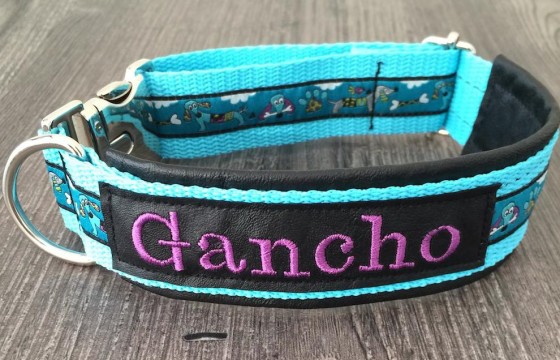 Sehr schickes Hundehalsband für den großen Gancho